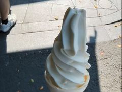-长洲岛