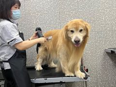 -宠物家(角门东店)