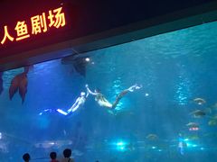 -福州罗源湾海洋世界旅游区