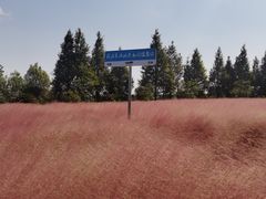 -军山湖云水间生态农业旅游景区