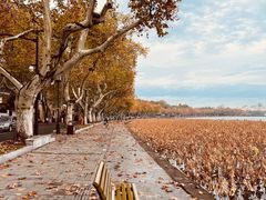 -北山街历史文化街区