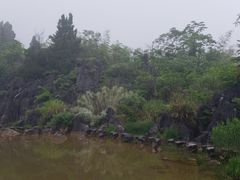 -千岛湖石林