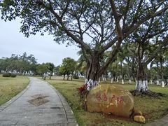 -万绿园