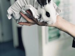 -宠颐生东兴动物医院(大悦城店)