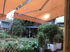 -大青树咖啡(大理古城店)