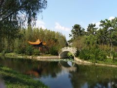 -日照海滨国家森林公园