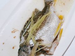 -花城苑广府菜(侨鑫店)