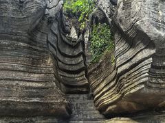 -梭布垭石林景区