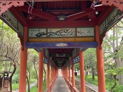-杨家埠民间艺术大观园