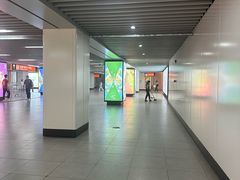 -东方体育中心(地铁站)