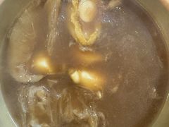 -大中鱼翅 Taitong Shark Fin