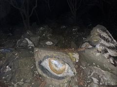 -火炉山森林公园