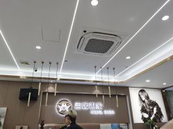 -MODEL SAGA名媛世家