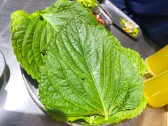 苏子叶-马路牙子烧烤音乐酒馆(望京店)