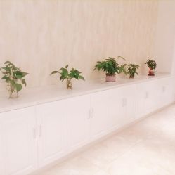 -诗媛嘉美健康管理中心(金桥店)