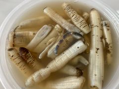 -安海长火土笋冻