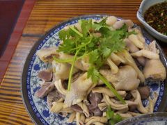 -九斤黄三黄鸡专卖店