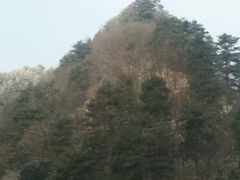 -秦岭服务区餐厅(京昆高速店)