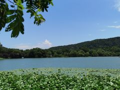 -西湖外事游船(花港观鱼码头)