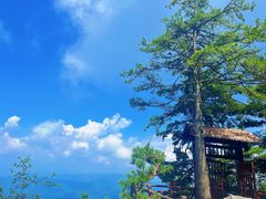 -秦岭天竺山景区