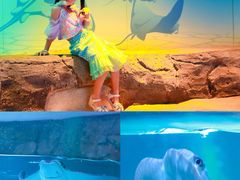 -沈阳海洋探索中心