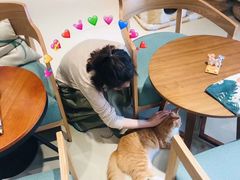 -藏猫猫咖啡主题馆(中央大道店)