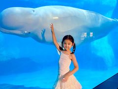 -海合安武汉极地海洋公园