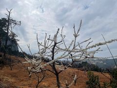 -南武当山景区