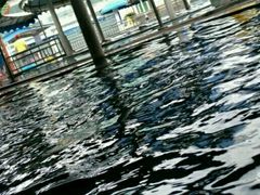 -氡泉温泉花园
