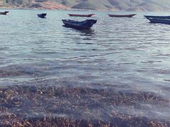 -丽江泸沽湖景区-里格半岛