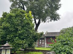 -恭王府博物馆