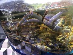 -蟹之国·精品蟹料理(极地店)