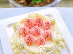 -壹点壹客·生日蛋糕(南山店)