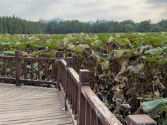 -云龙湖旅游景区