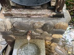 -明月山天沐温泉度假村