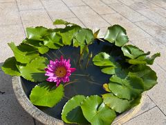 -三亚南山文化旅游区