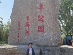 -泰丰公园