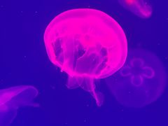 -西安华夏文旅水世界