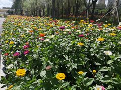 -长春公园(普阳街道)