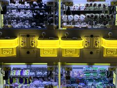 -万达广场(大明宫店)