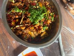 -食神又名厕所兔