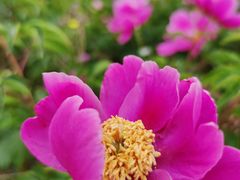 -金堂县云顶石城风景区