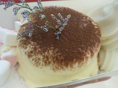 小提苏梳乎厘-狐狸和向日葵(北京路店)
