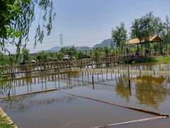 -同銮特种养殖场·龙虾垂钓