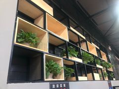 -竞时游泳健身(望京店)