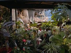 -T館·花园艺术餐厅