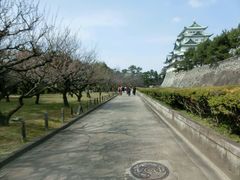 -名古屋城