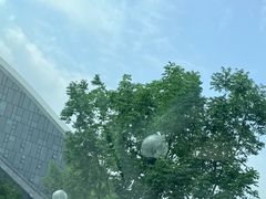 -哈尔滨大剧院