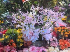 -朝来春花卉市场