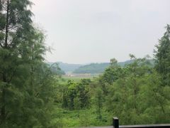 -东莞市大岭山森林公园